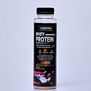Whey protein  1shot